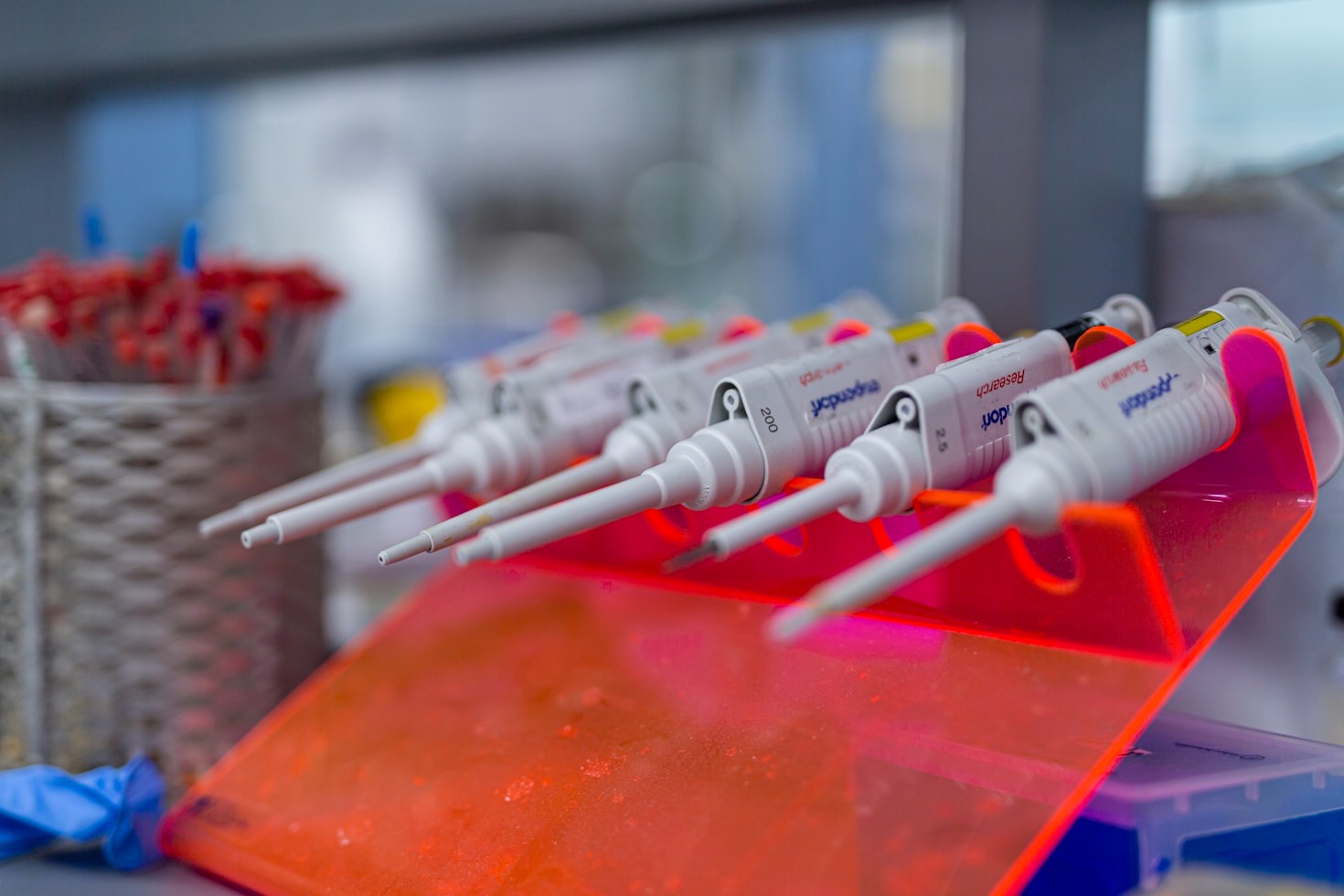 10 Essential Tips for Building a Science Career
