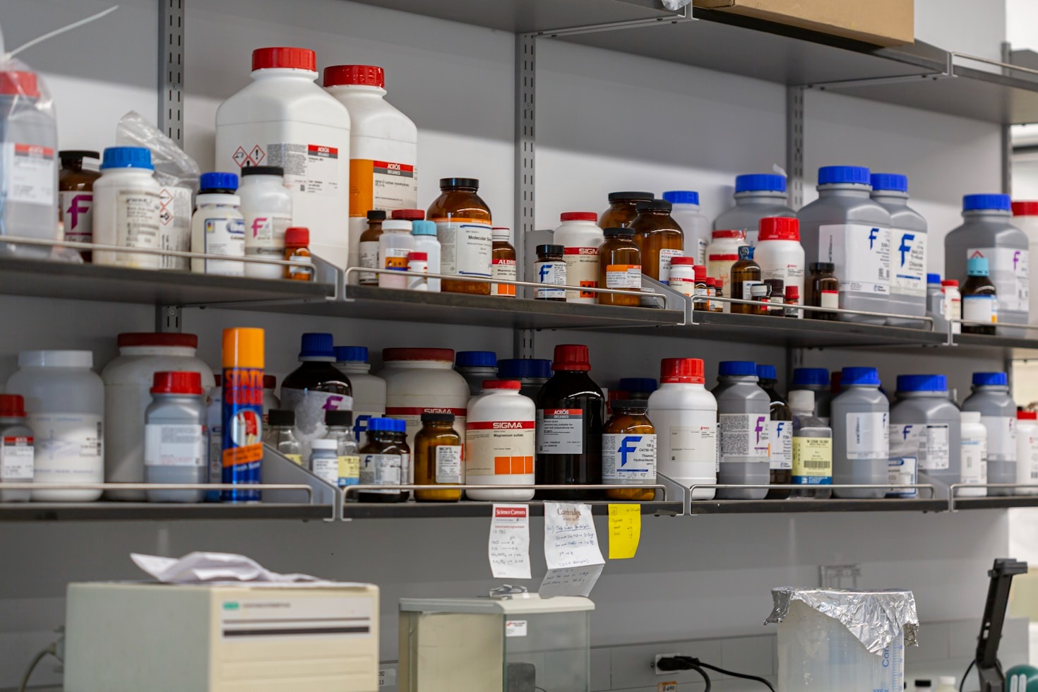 Exploring Career Paths in the Life Sciences Sector