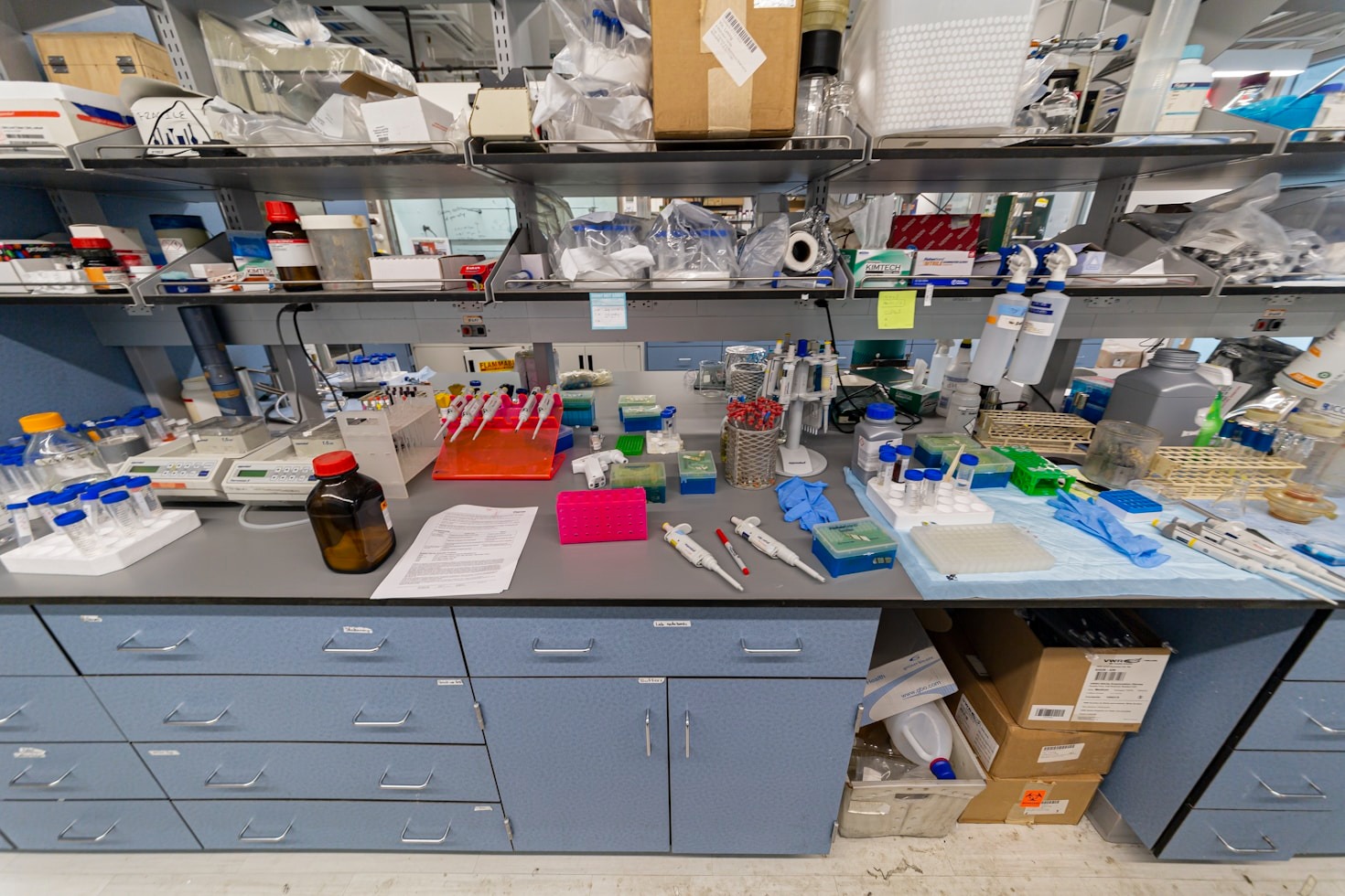 Strategies for Postdocs to Advance in Their Careers